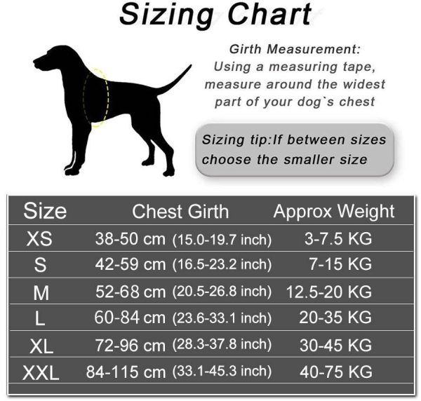 Personalized Dog Harness Small to Large Dogs | Reflective Adjustable Comfortable