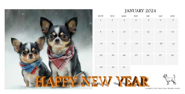 Chihuahua January 2024 Happy New Year